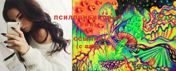 герыч Покровск