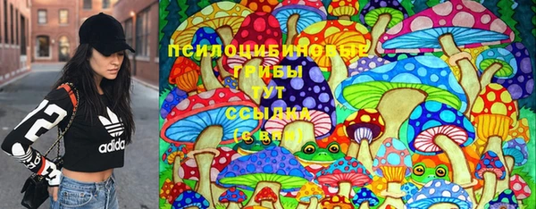 шишки Пестово